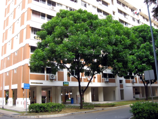 Blk 549 Hougang Street 51 (S)530549 #251022